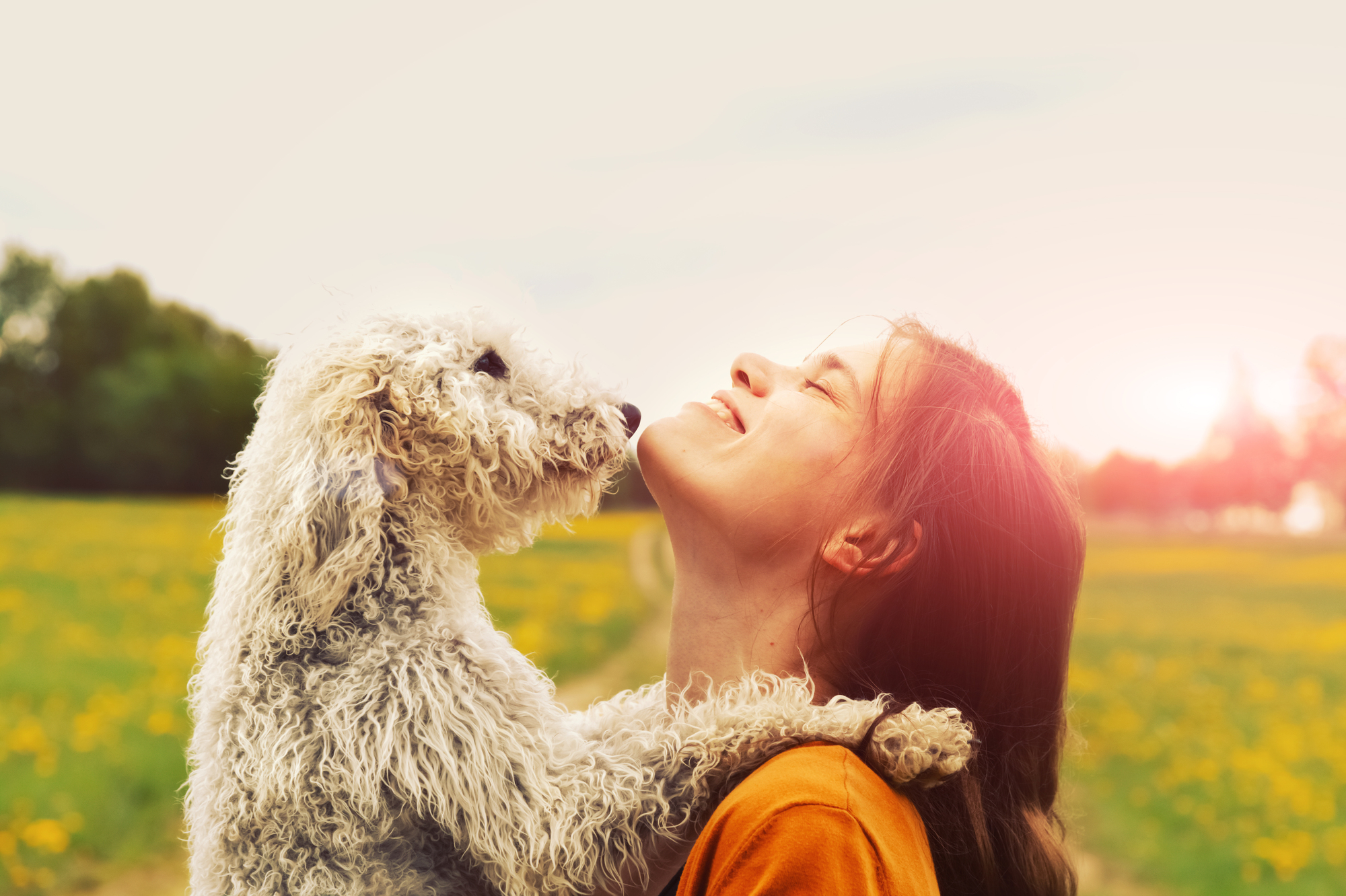 Woman hugging dog outdoors