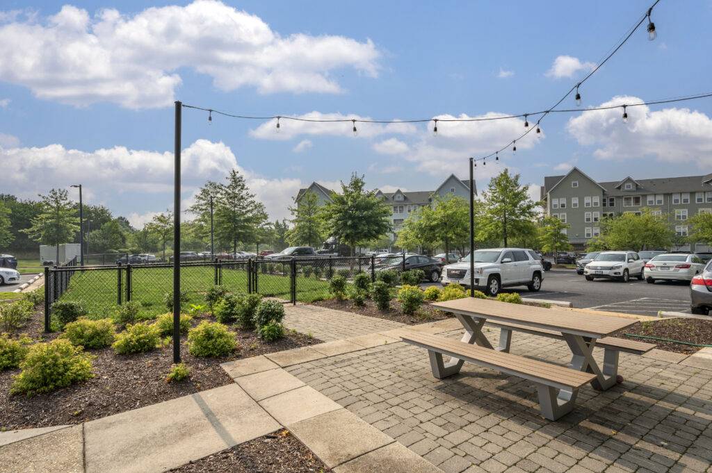 exterior picnic area with string lights and dog park